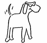 Иллюстрация к книге — Жизнь после Бога [bdtofb2im_14.jpg]