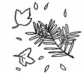 Иллюстрация к книге — Жизнь после Бога [bdtofb2im_25.jpg]