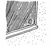 Иллюстрация к книге — Жизнь после Бога [bdtofb2im_68.jpg]