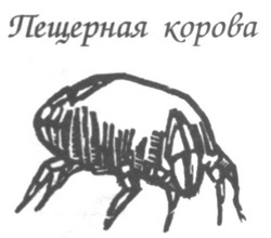 Иллюстрация к книге — Глубже [pic02.jpg]