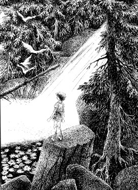 Иллюстрация к книге — Рони, дочь разбойника [i_005.jpg]