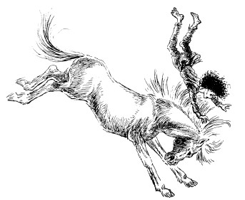 Иллюстрация к книге — Рони, дочь разбойника [i_024.jpg]