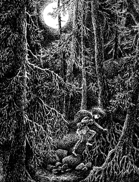 Иллюстрация к книге — Рони, дочь разбойника [i_028.jpg]