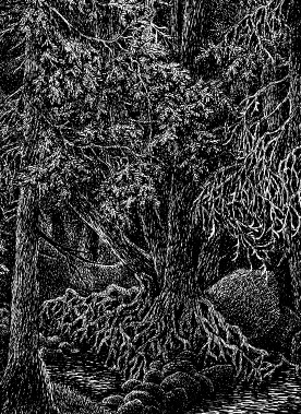 Иллюстрация к книге — Рони, дочь разбойника [i_029.jpg]