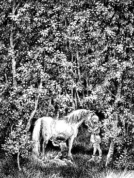 Иллюстрация к книге — Рони, дочь разбойника [i_033.jpg]