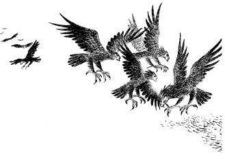 Иллюстрация к книге — Рони, дочь разбойника [i_035.jpg]