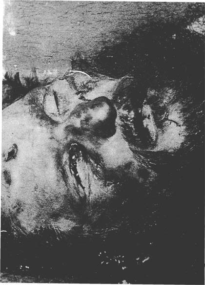 Иллюстрация к книге — Распутин [pic5.jpg]