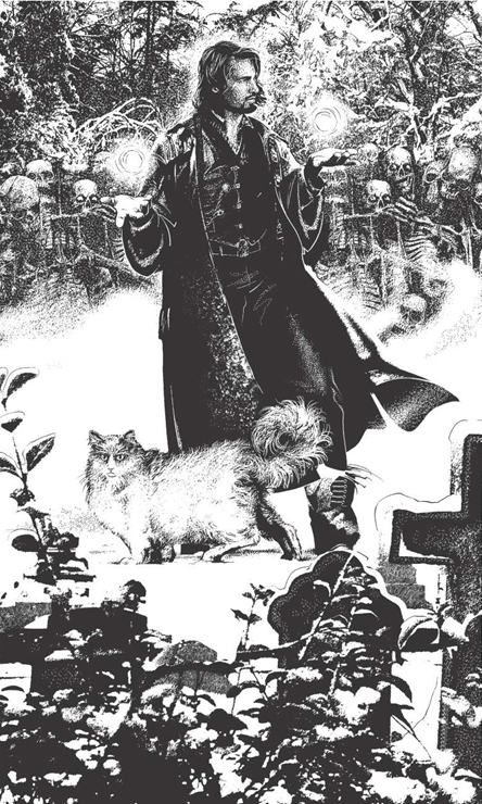 Иллюстрация к книге — Дневник кота мага [i_001.jpg]