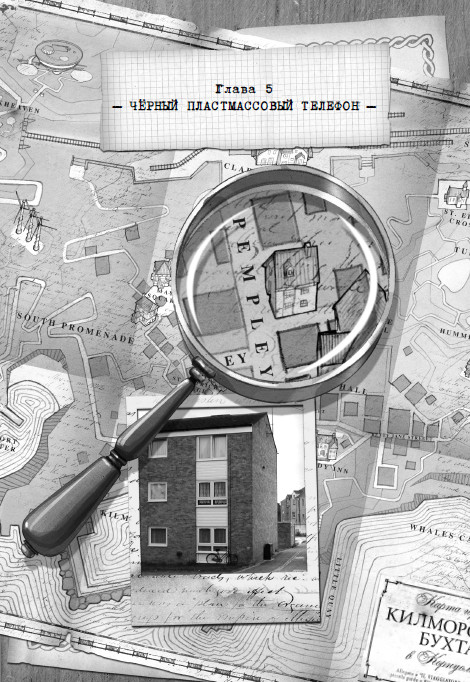 Иллюстрация к книге — Дом зеркал [i_009.jpg]