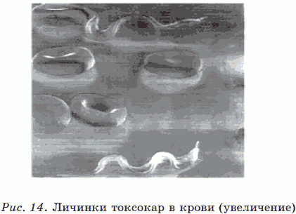 Иллюстрация к книге — Новые тайны нераспознанных диагнозов. Книга 3 [_23.png]