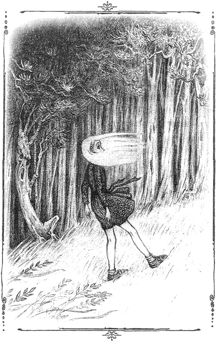 Иллюстрация к книге — Тенистый лес [i_004.png]