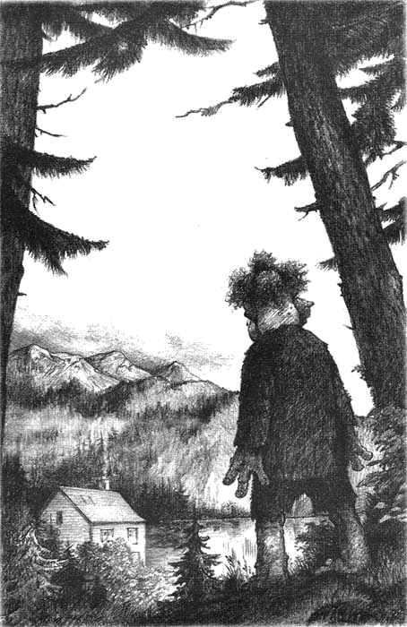 Иллюстрация к книге — Сбежавший тролль [i_004.png]