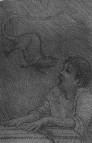 Иллюстрация к книге — Питер Пэн и Ловцы звезд [pic05.jpg]