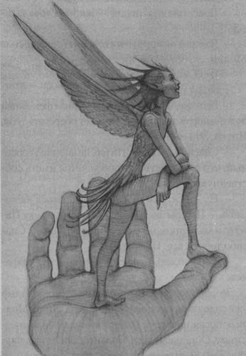 Иллюстрация к книге — Питер Пэн и Ловцы звезд [pic20.jpg]