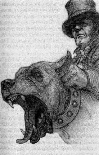 Иллюстрация к книге — Питер Пэн и Похитители теней [pic06.jpg]