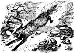 Иллюстрация к книге — Говорящий сверток [pic22.jpg]