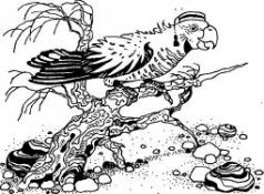 Иллюстрация к книге — Говорящий сверток [pic4.jpg]