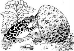 Иллюстрация к книге — Говорящий сверток [pic5.jpg]