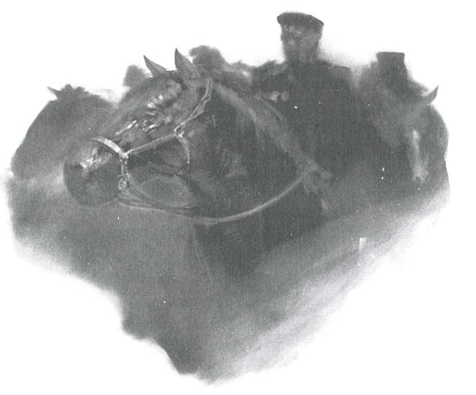 Иллюстрация к книге — Завещание ночи [i_002.jpg]