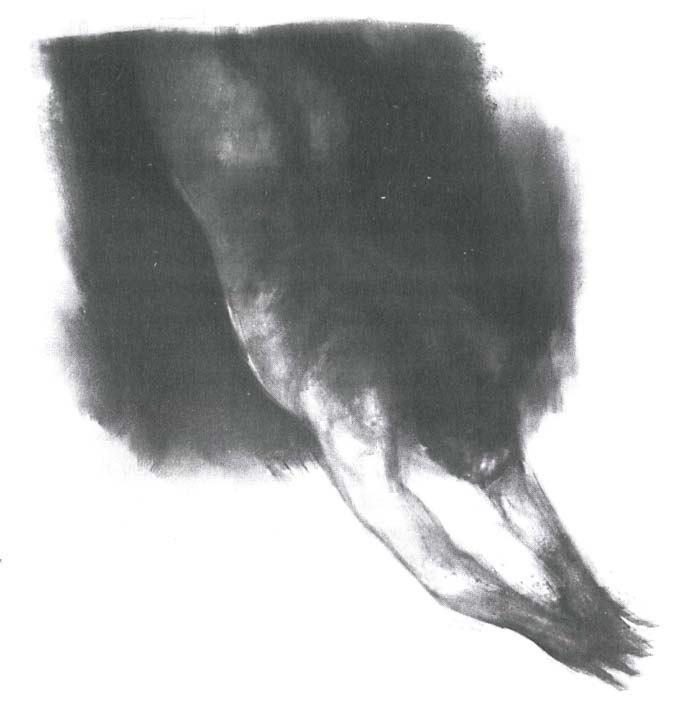 Иллюстрация к книге — Завещание ночи [i_025.jpg]