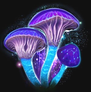 Иллюстрация к книге — Люди крыш. Пройти по краю [i_010.jpg]