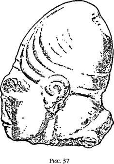 Иллюстрация к книге — Двенадцатая Планета [any2fbimgloader39.jpg]