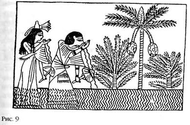 Иллюстрация к книге — Лестница в небо. В поисках бессмертия [i_008.jpg]