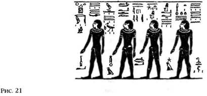 Иллюстрация к книге — Лестница в небо. В поисках бессмертия [i_022.jpg]