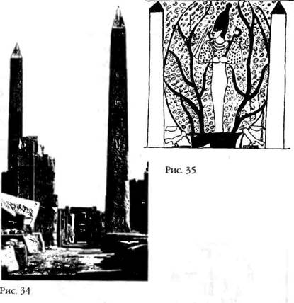 Иллюстрация к книге — Лестница в небо. В поисках бессмертия [i_039.jpg]