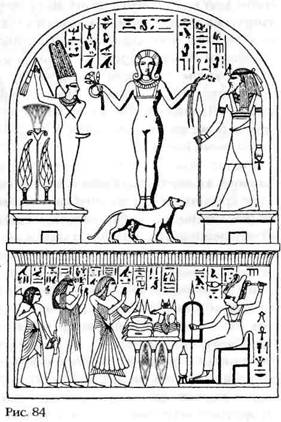 Иллюстрация к книге — Лестница в небо. В поисках бессмертия [i_083.jpg]