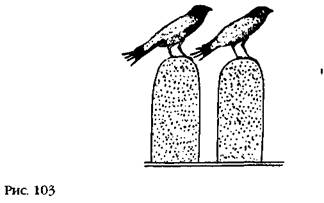 Иллюстрация к книге — Лестница в небо. В поисках бессмертия [i_100.jpg]