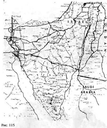 Иллюстрация к книге — Лестница в небо. В поисках бессмертия [i_111.jpg]