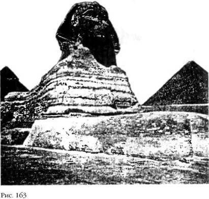 Иллюстрация к книге — Лестница в небо. В поисках бессмертия [i_164.jpg]