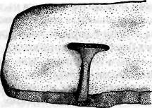 Иллюстрация к книге — Потерянные царства [pic_108.jpg]