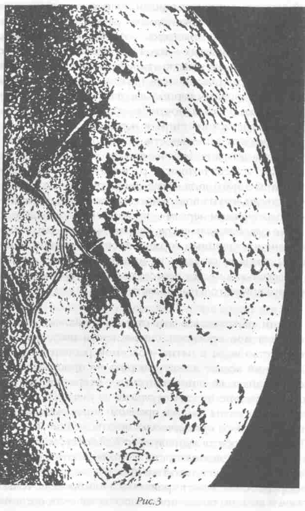 Иллюстрация к книге — Назад в будущее [i_003.jpg]