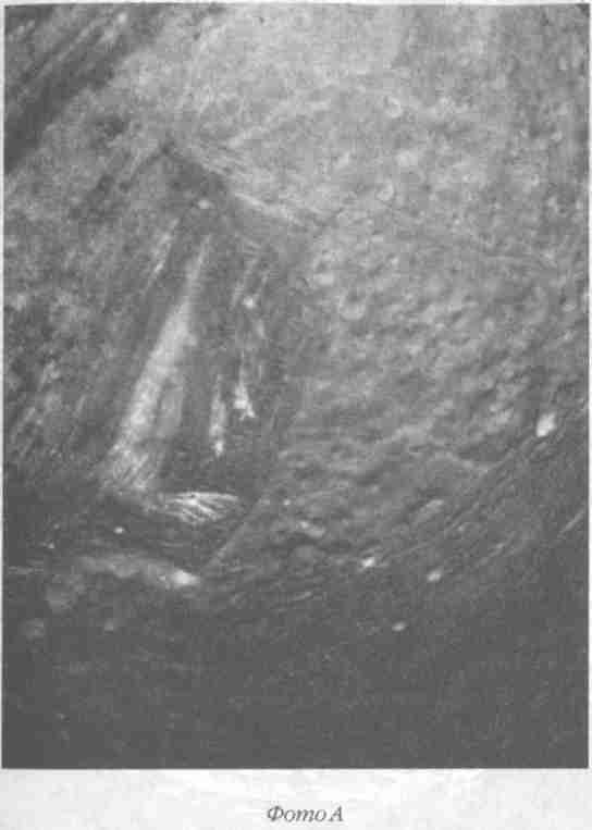 Иллюстрация к книге — Назад в будущее [i_004.jpg]