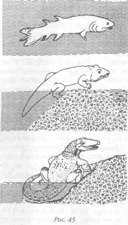 Иллюстрация к книге — Назад в будущее [i_051.jpg]