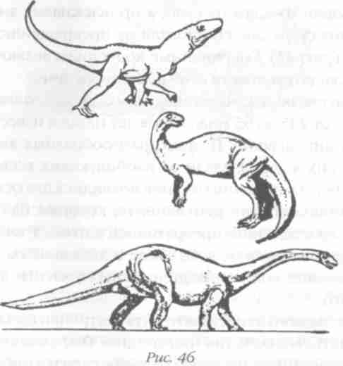 Иллюстрация к книге — Назад в будущее [i_052.jpg]