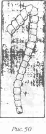 Иллюстрация к книге — Назад в будущее [i_056.jpg]