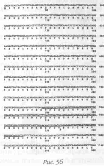 Иллюстрация к книге — Назад в будущее [i_062.jpg]