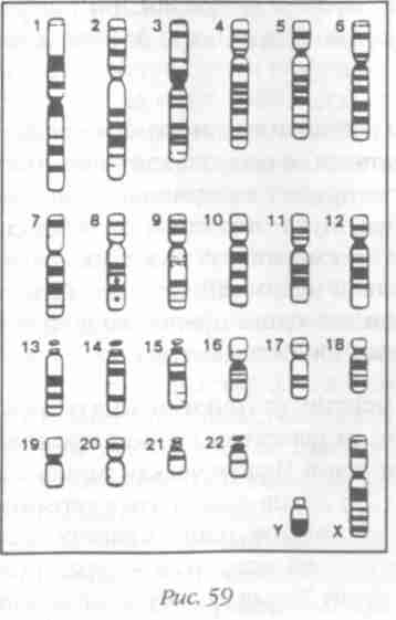Иллюстрация к книге — Назад в будущее [i_064.jpg]