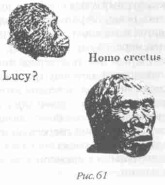 Иллюстрация к книге — Назад в будущее [i_066.jpg]