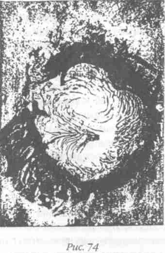 Иллюстрация к книге — Назад в будущее [i_079.jpg]