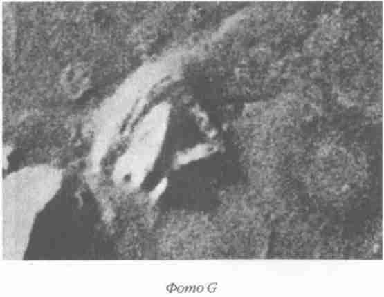 Иллюстрация к книге — Назад в будущее [i_096.jpg]