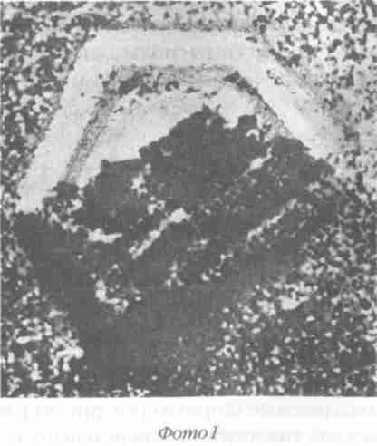 Иллюстрация к книге — Назад в будущее [i_098.jpg]