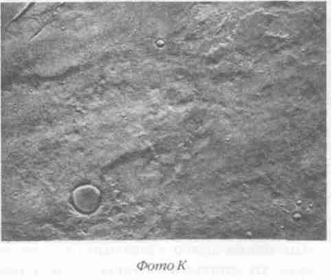 Иллюстрация к книге — Назад в будущее [i_100.jpg]