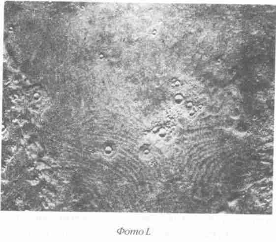 Иллюстрация к книге — Назад в будущее [i_102.jpg]