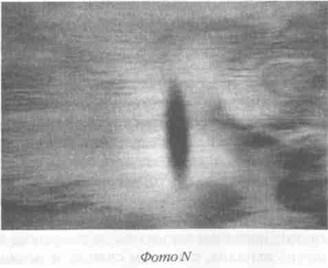 Иллюстрация к книге — Назад в будущее [i_110.jpg]