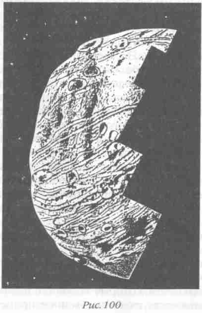 Иллюстрация к книге — Назад в будущее [i_116.jpg]