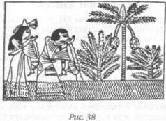 Иллюстрация к книге — Божество 12-й планеты [pic_41.jpg]